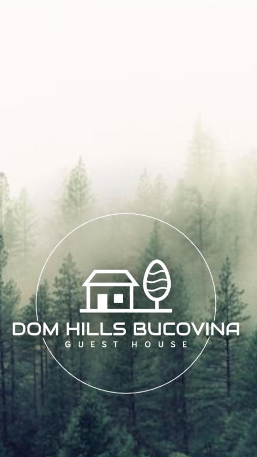 Hotel Dom Hills Bucovina à Gura Humorului Extérieur photo